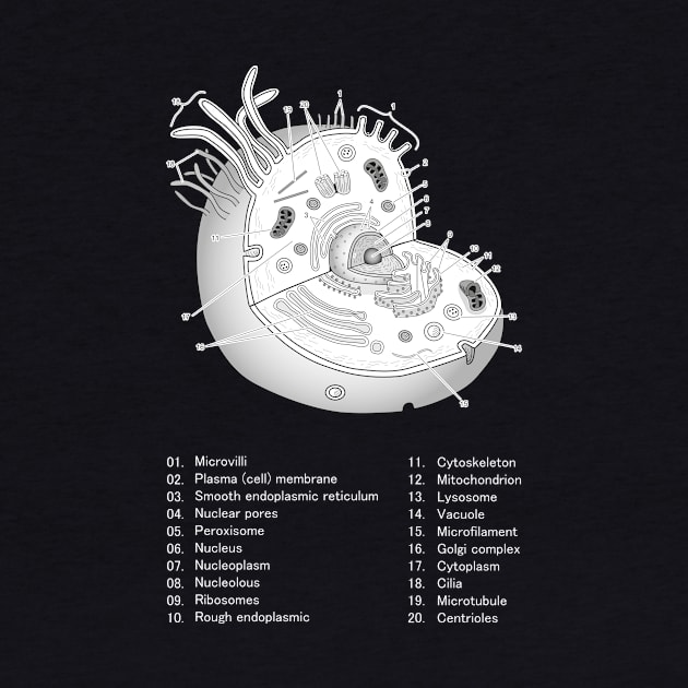 Eukaryotic cell by Science Design